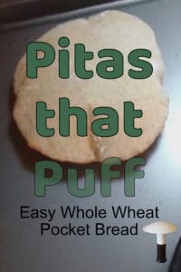 Simple, Fast And Deliciously Good Whole Wheat Pita Bread Recipe.